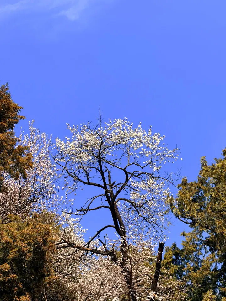 Beijing