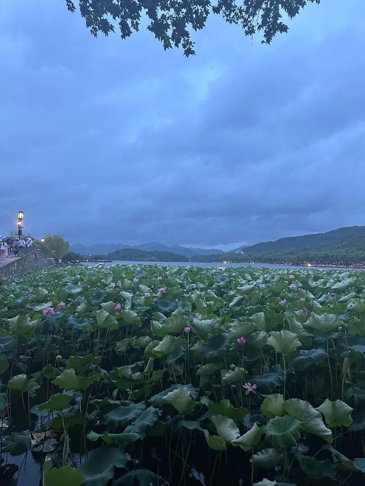 Hangzhou